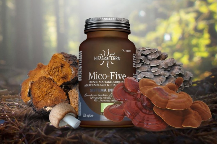 470187470_1497014880988649_479820040228111426_n v3 470187470_1497014880988649_479820040228111426_n v3