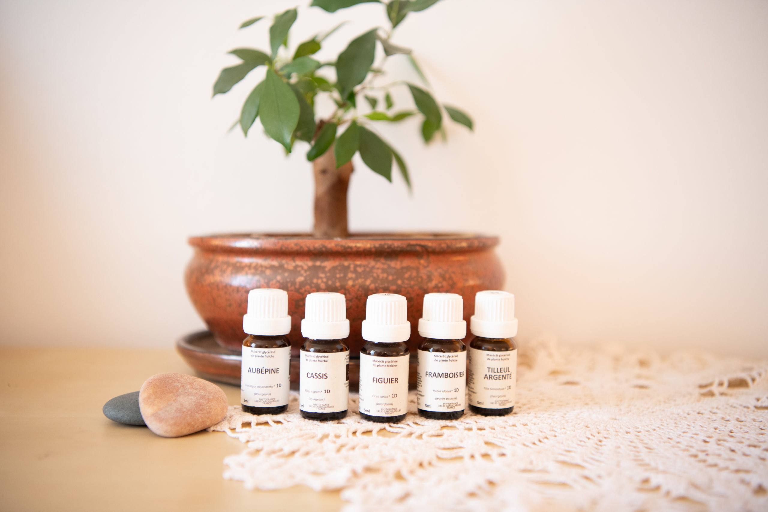 shooting-alize╠üe-pellerey-studiomoonflood-081 shooting-alize╠üe-pellerey-studiomoonflood-081